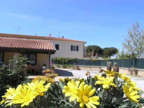 Agriturismo Podere San Michele San Vincenzo Luaran gambar